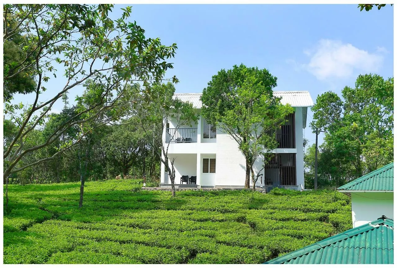 Szálloda Holiday Vagamon
